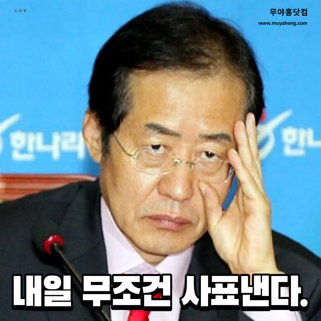 홍준표_무야홍_직장인_04.jpg