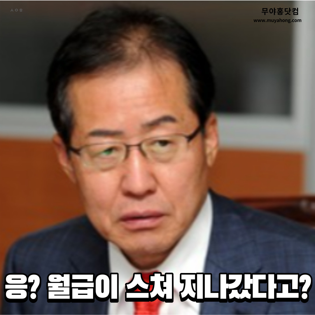 홍준표_무야홍_직장인_02.jpg