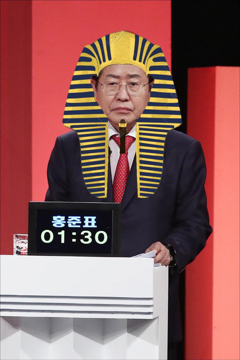 파라홍.png.jpg