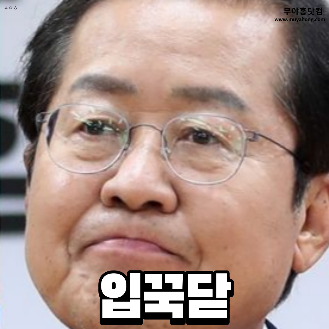 홍준표_무야홍_민망_03.jpg