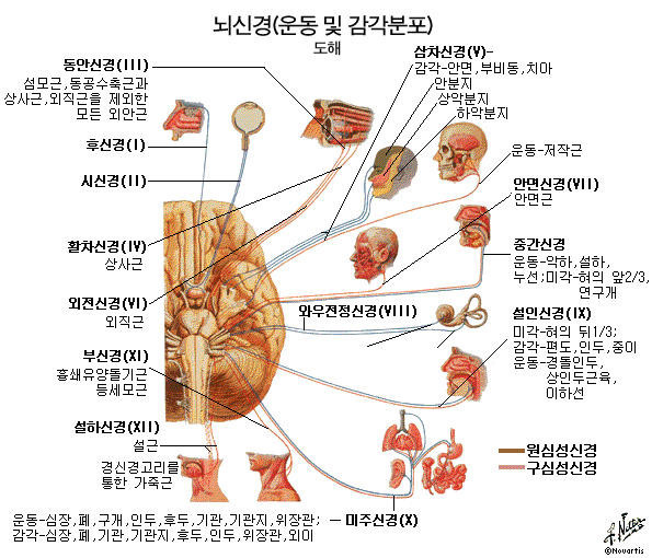 다운로드.jpeg-6.jpg