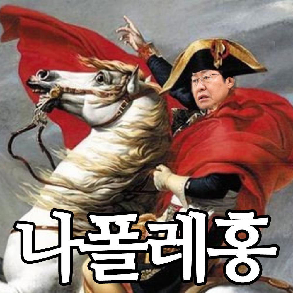 나폴레홍.png.jpg