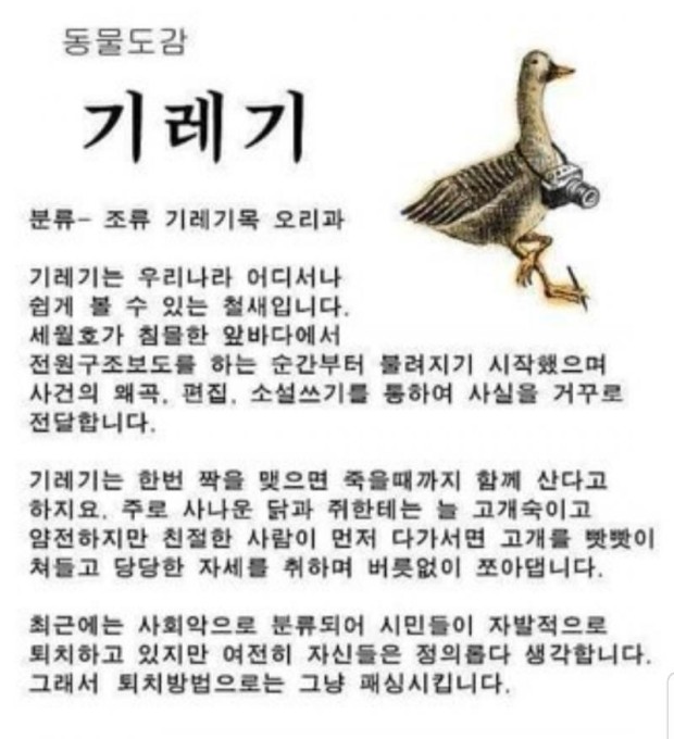 기레기1.jpg