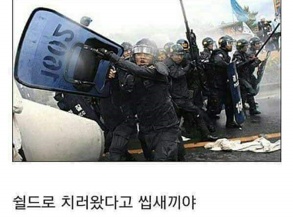 쉴드.jpg