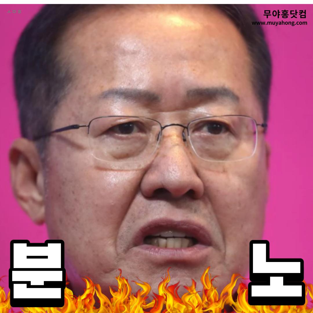 홍준표_무야홍_분노_01.png.jpg