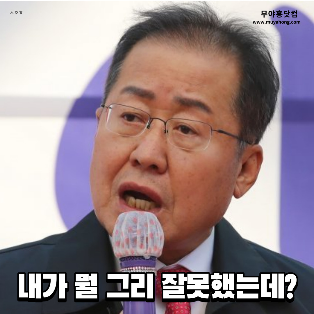 홍준표_무야홍_연인_02.jpg