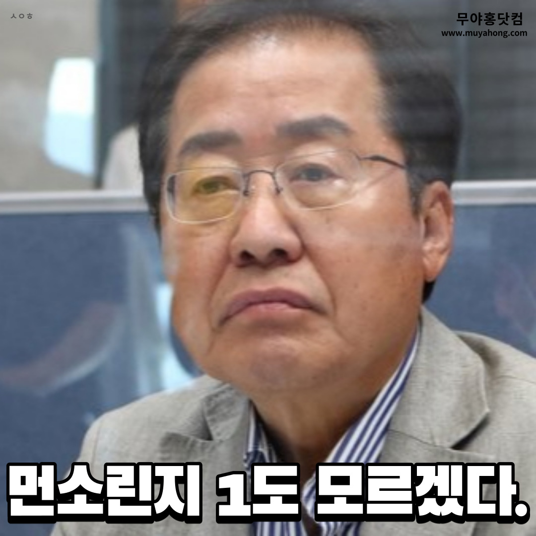 홍준표_무야홍_어이_05-1.jpg