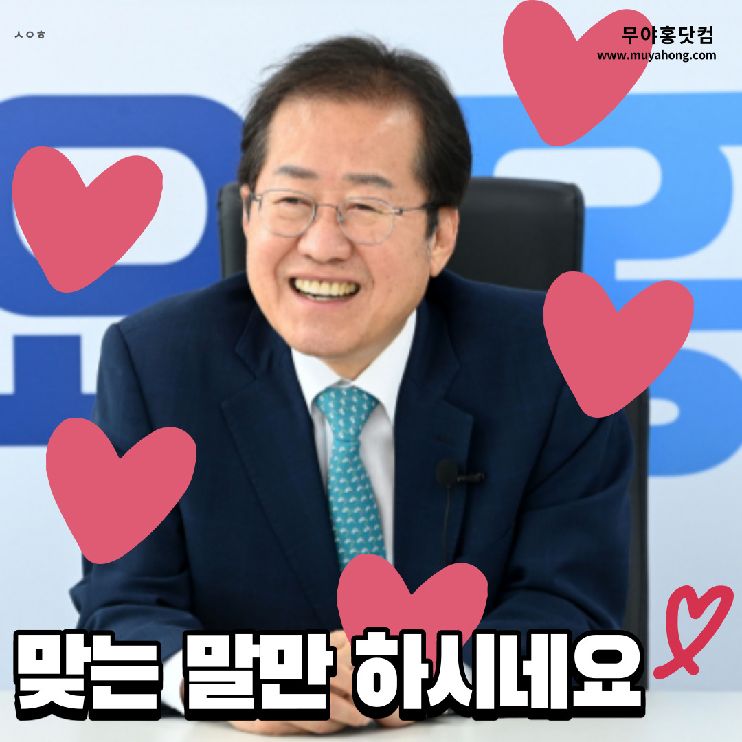 맞는 말만 하시네요.jpg