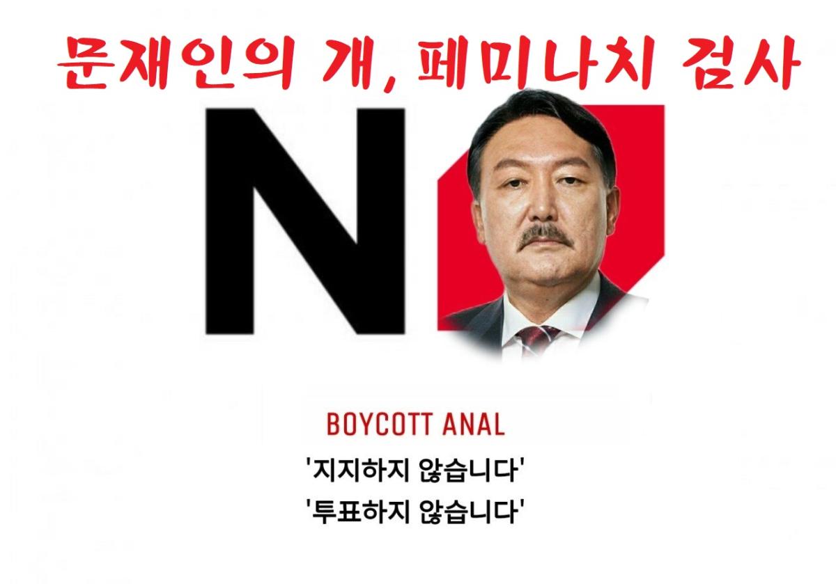 문재인의개페미나치검사.jpeg.jpg