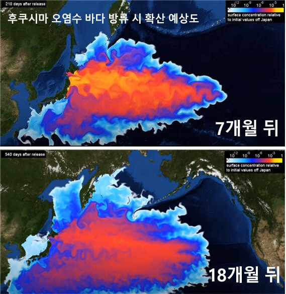 다운로드 (22).jpeg