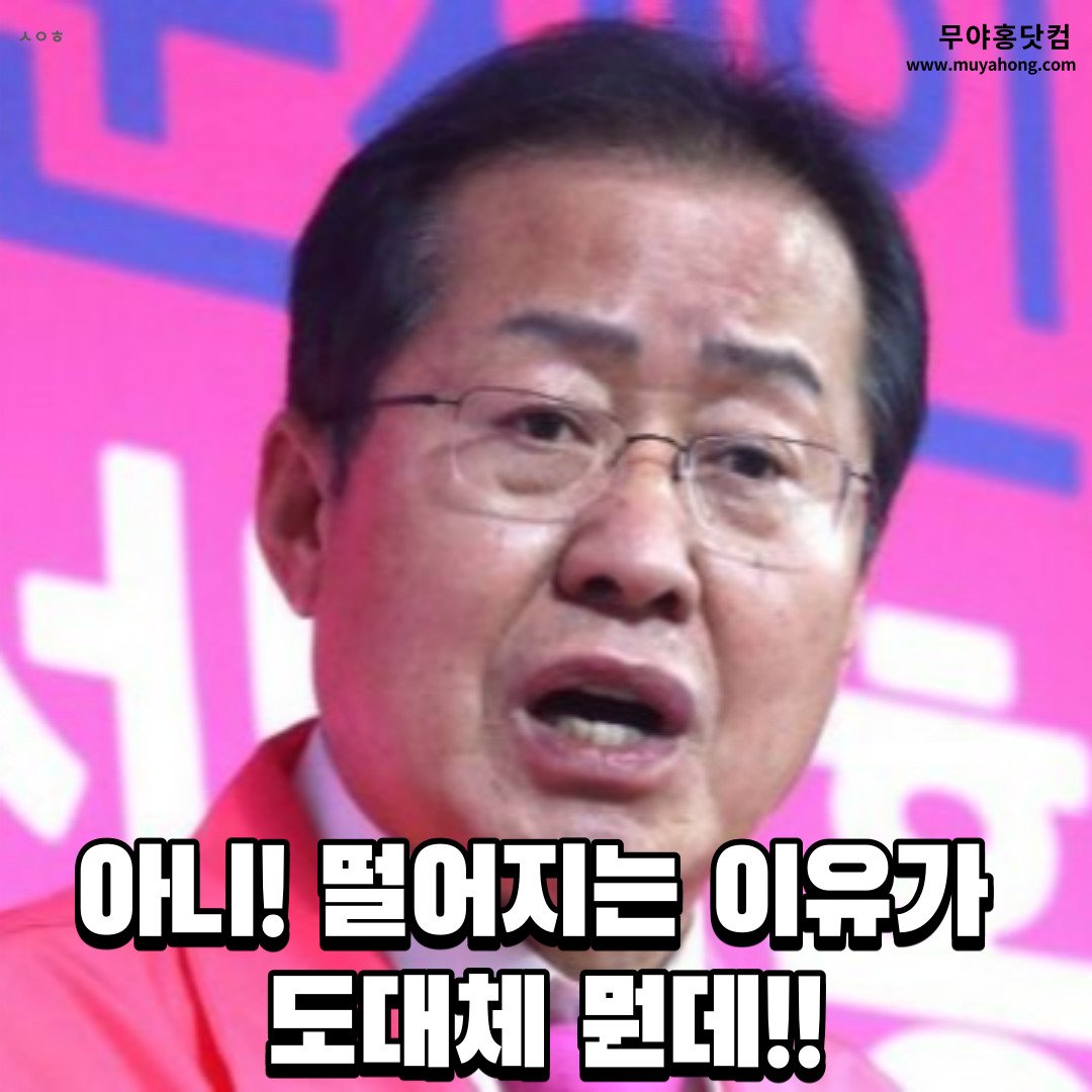 홍준표_무야홍_주식_06.jpg