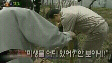 가카 유머2.jpg