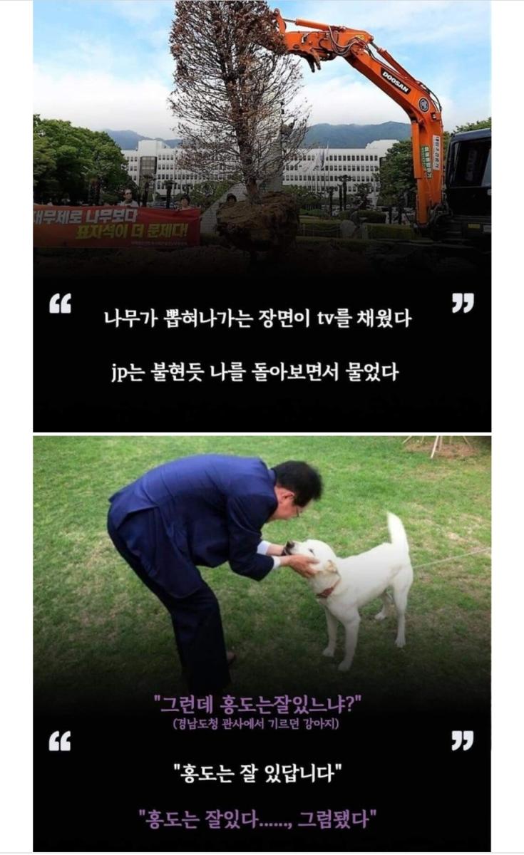 Screenshot_20211215-161650_Naver Blog.jpg