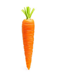 carrot01.jpg