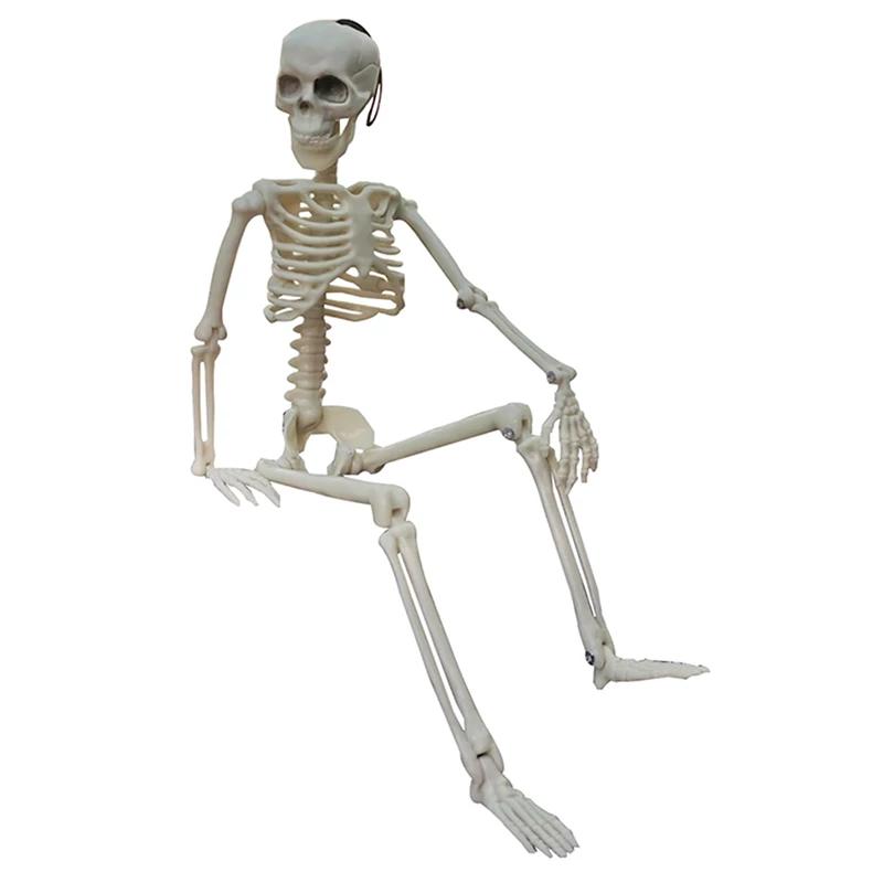 skeleton08.webp.jpg