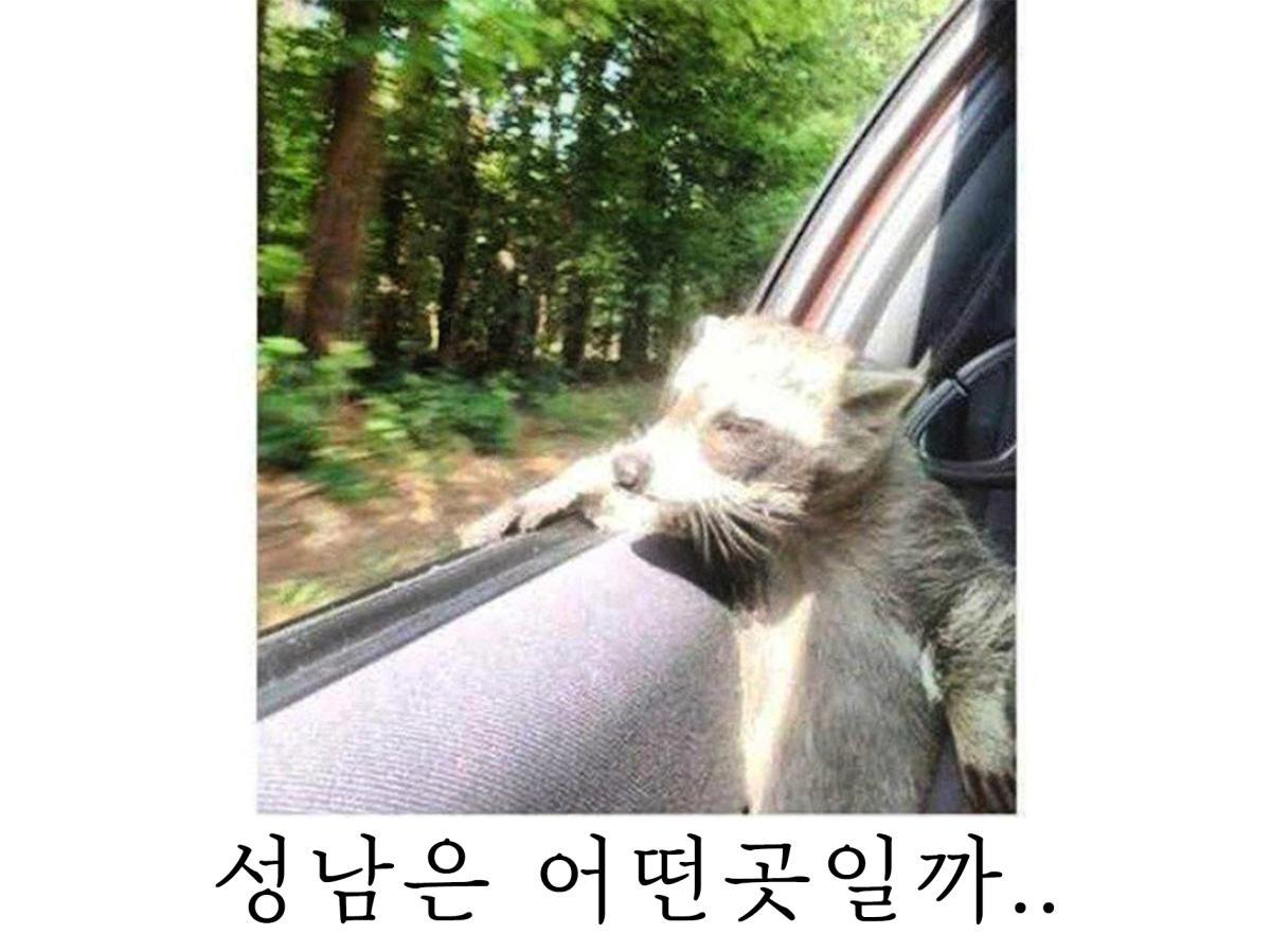 성남은 어떤곳일까.png.jpg