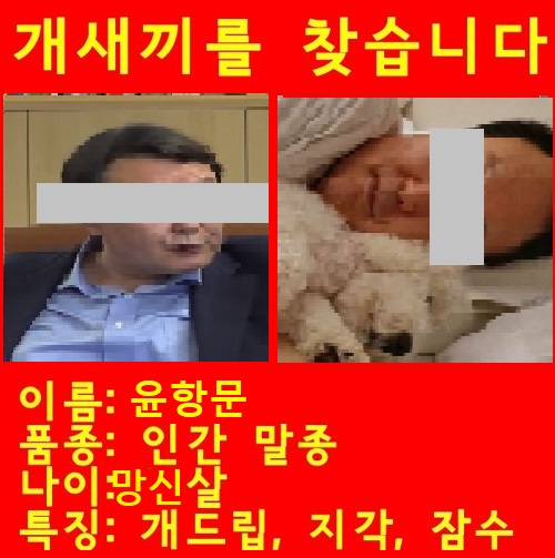 윤석열 패러디.jpg