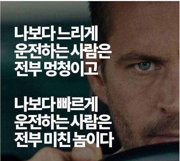 운전자들 특징.jpg