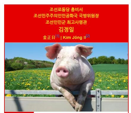 김정일 사진 ㅋㅋㅋㅋ.PNG.jpg