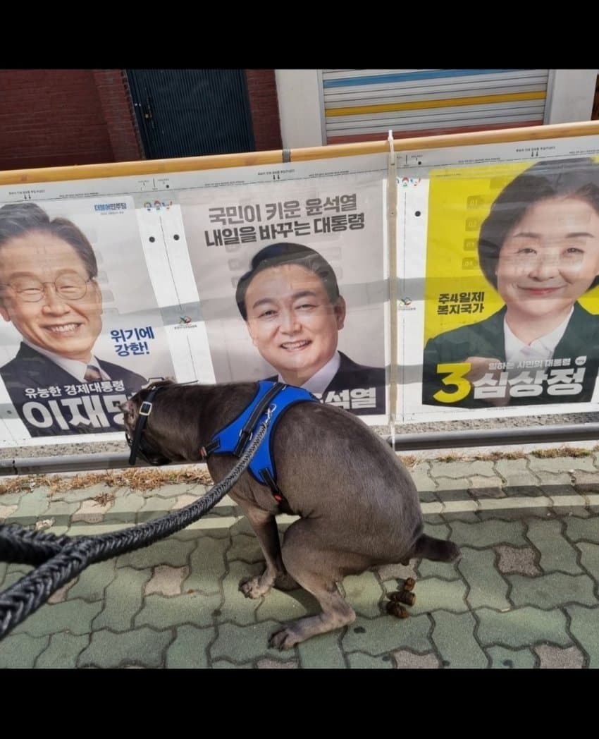 개도.jpg