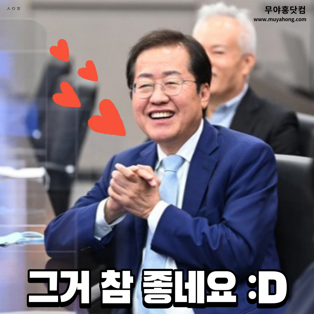 무야홍 그거 참 좋네요.jpeg