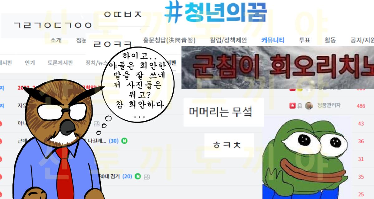 홍청.PNG.jpg