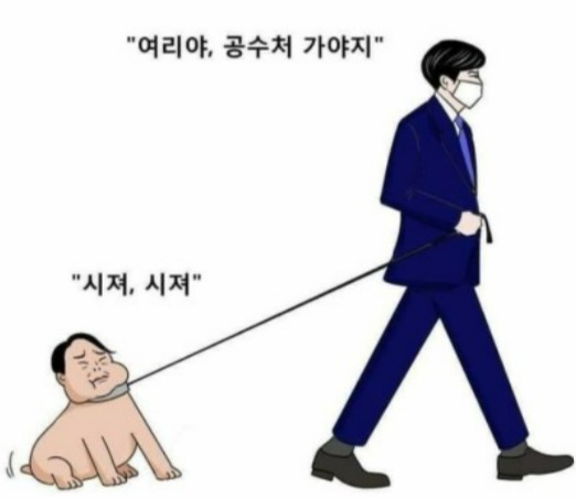 개준스기애완견.jpg