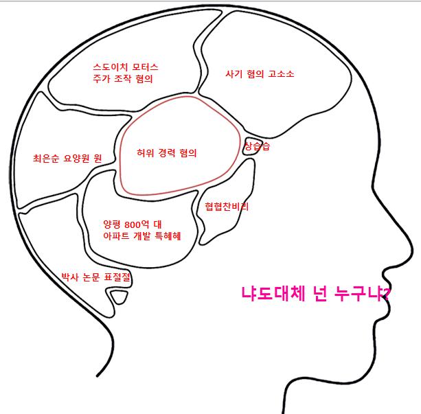 뇌구조.png.jpg