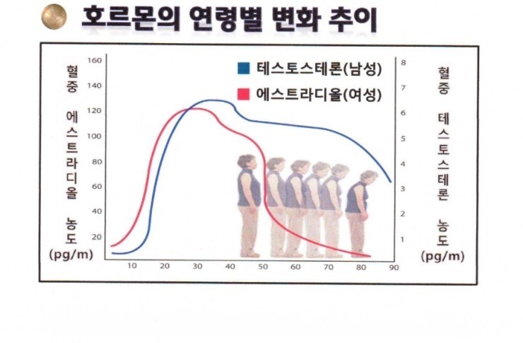 다운로드.jpeg-12.jpg