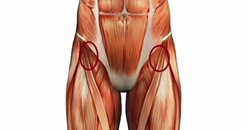 hip-flexor-stretches-881x463.webp.jpg