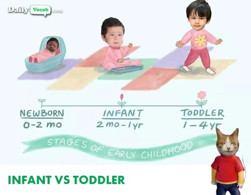 Infant-Vs-Toddler.webp.jpg