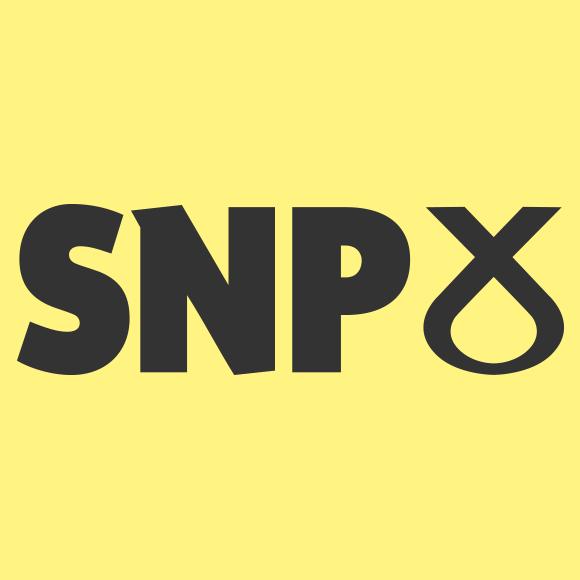 cropped-snp-job-img.png.jpg