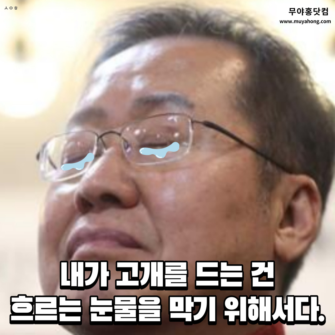 홍준표_무야홍_슬픔_02.jpg