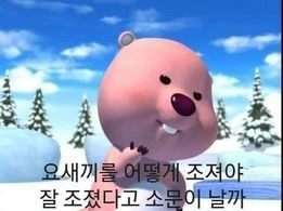 루피조짐.jpg