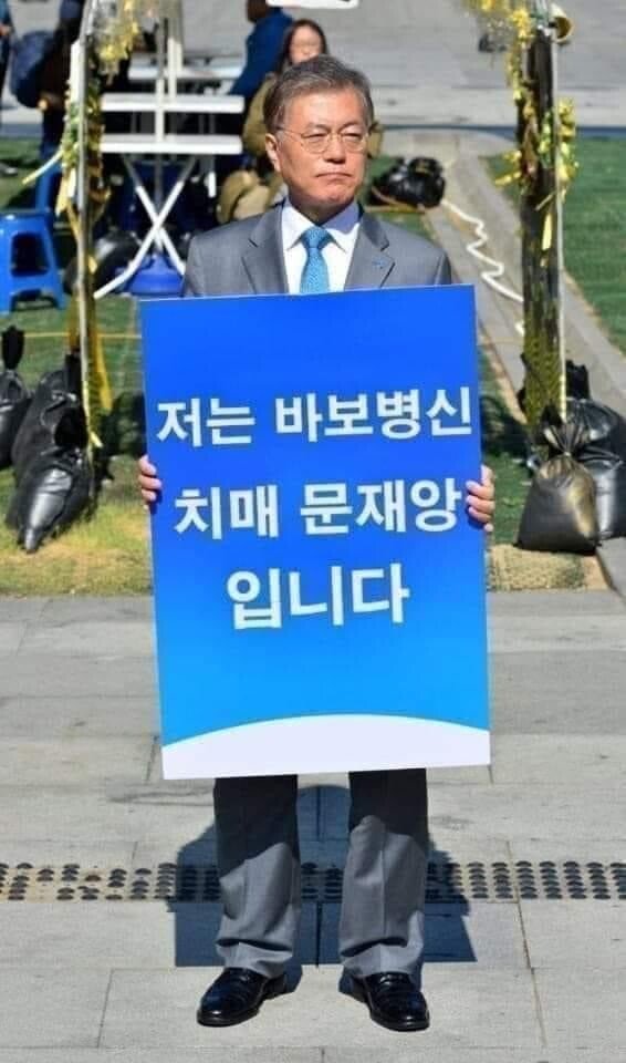 문재앙치매.jpg