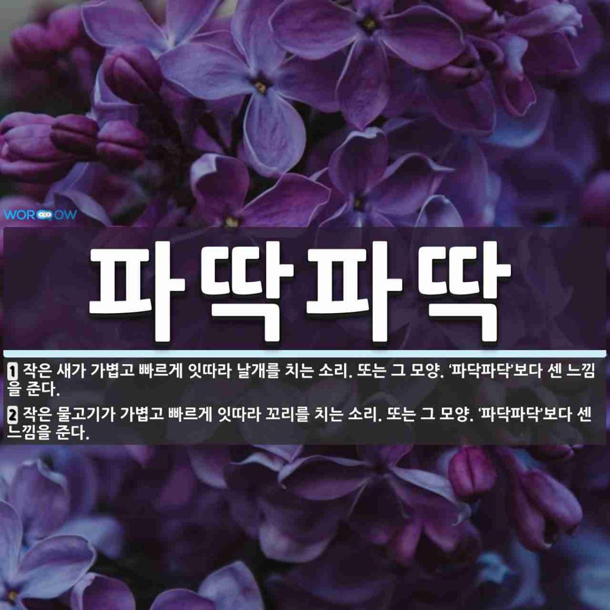 파딱파딱_11.jpg