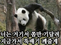 판다뚝배기.jpg