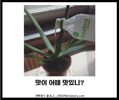 다운로드파일.png.jpg