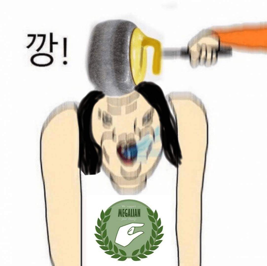 메갈년은 쳐맞아야 정신차린다.jpg