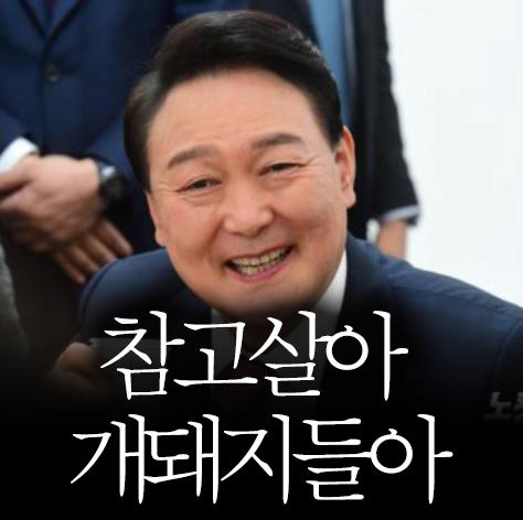 참2.png.jpg