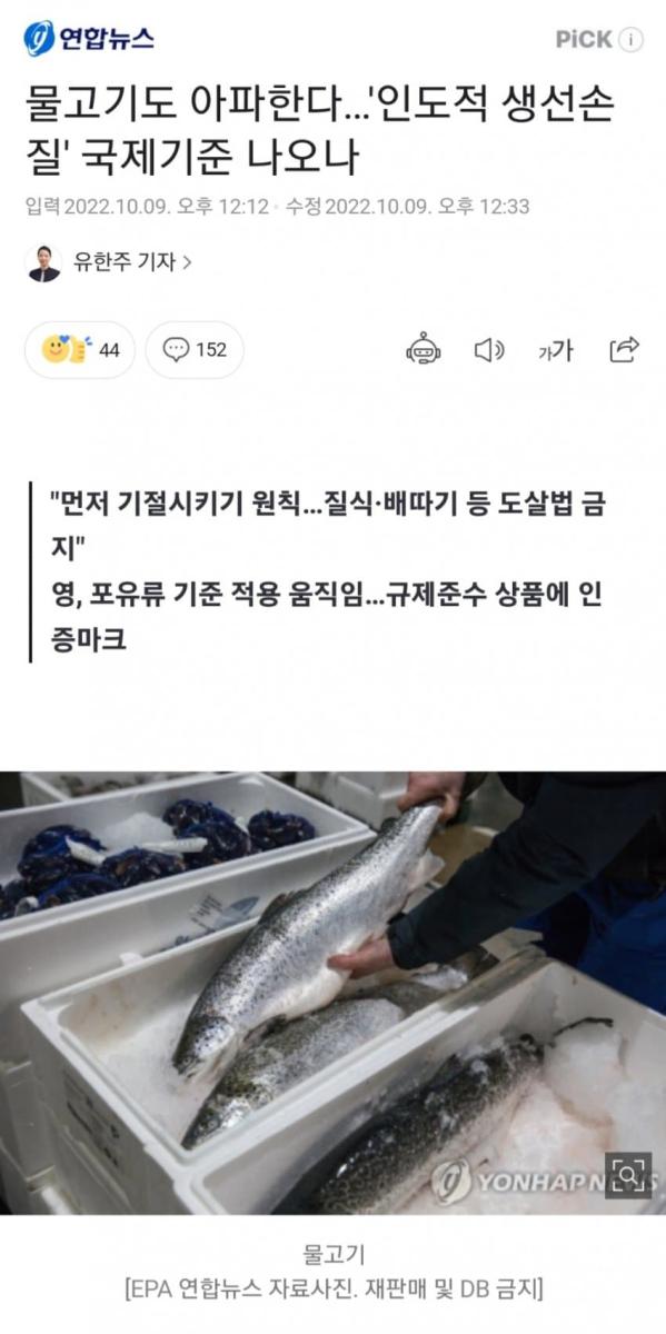 물고기.jpg