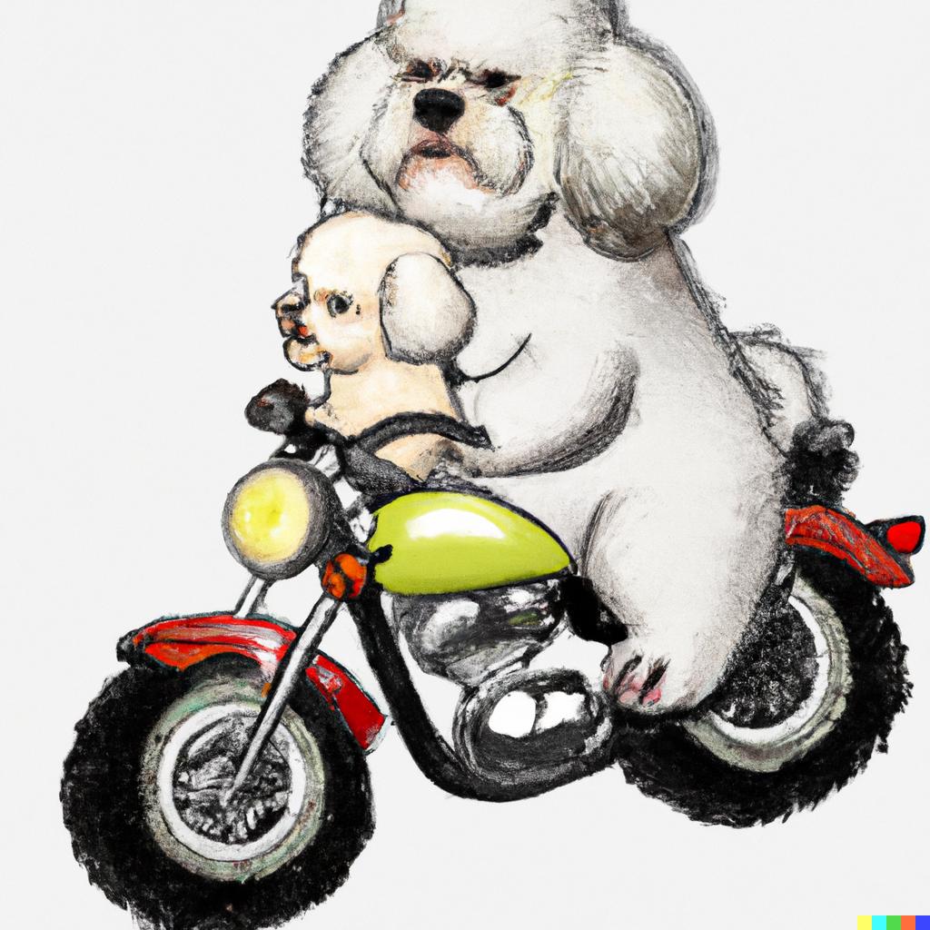 DALL·E 2022-10-18 14.00.54 - Muscular Bichon Frise Riding a MotorcycleBichon Frise, a bodybuilder riding a motorcycle.png.jpg