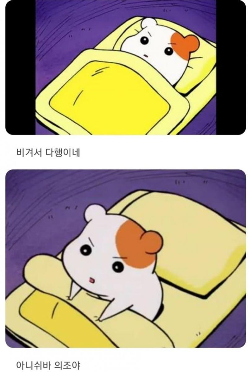 의조.jpg