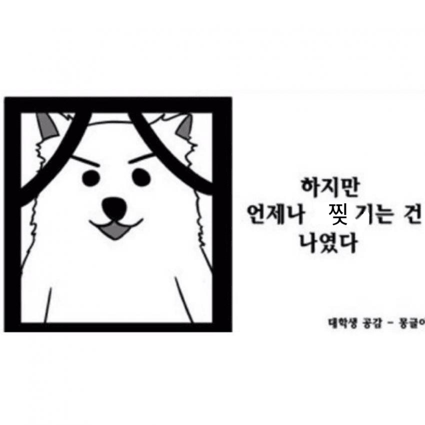 대한민국.png.jpg