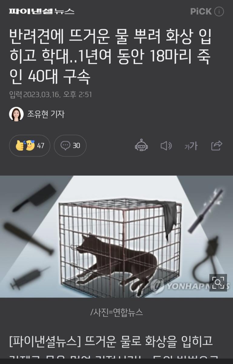 Screenshot_20230316_162448_NAVER.jpg