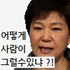 박근혜어떻게사람이.jpg