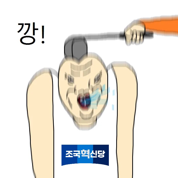 조국혁신당 깡.jpg