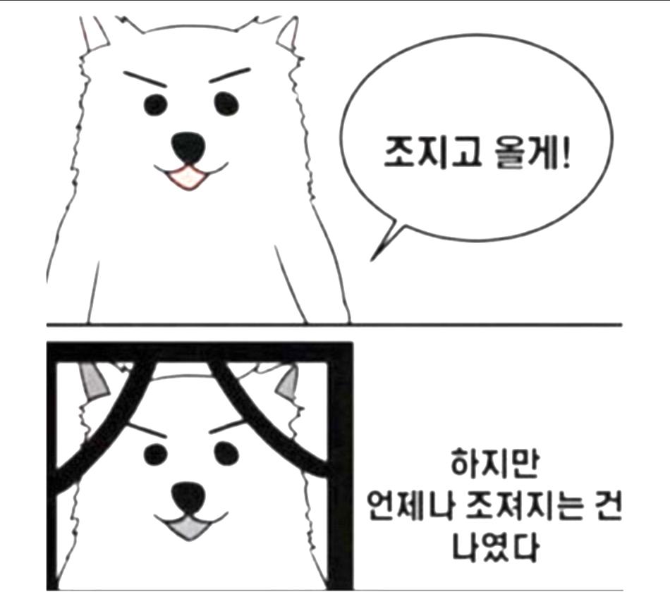 스크린샷 2024-12-24 183704.png.jpg